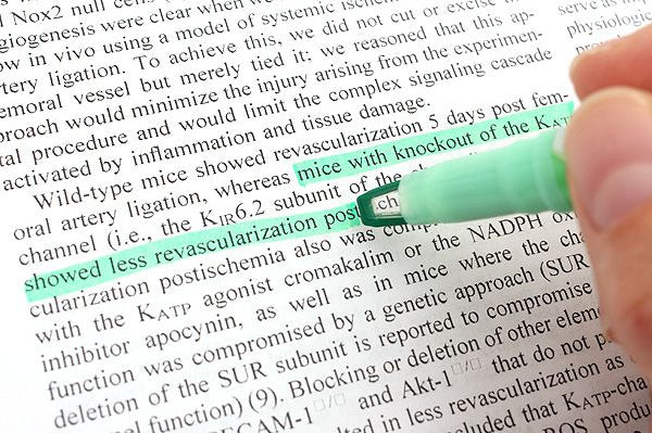 Uni Propus Window Quick Dry Twin Tip 5-Colour Highlighter Set