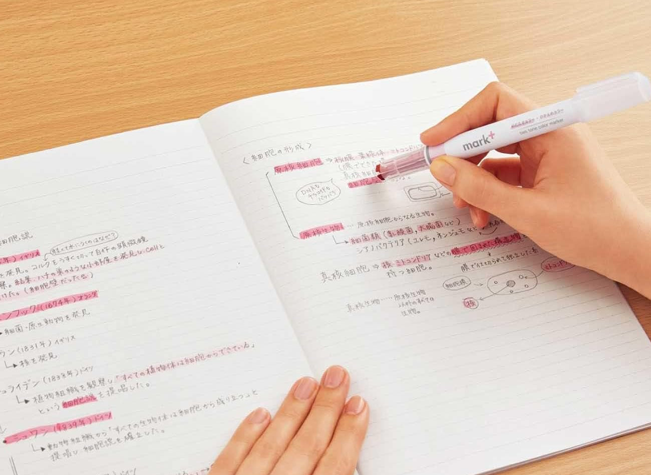 Kokuyo Mark+ 2-Tone Vivid 5-Colour Marker Highlighter Set