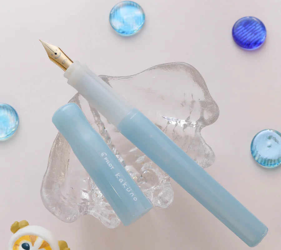 Pilot kakuno madoromi Fountain Pen (Fine Point)