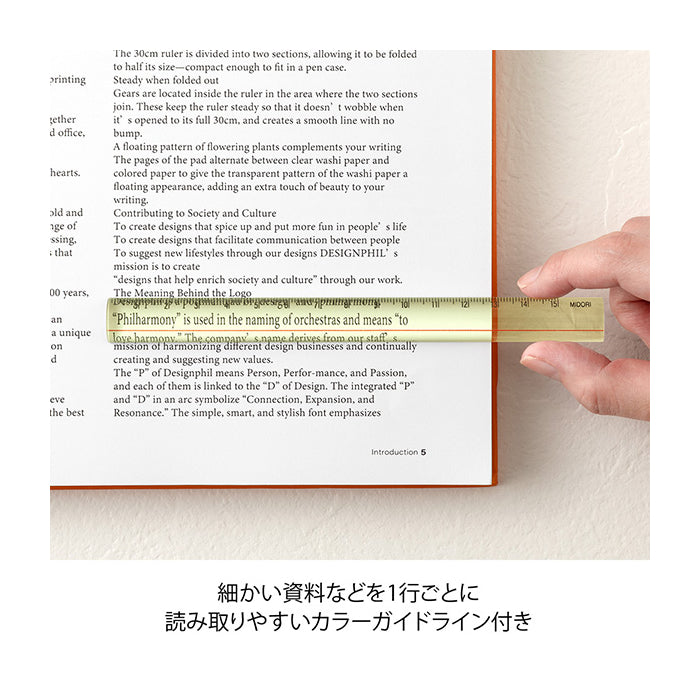 MIDORI Designphil 15cm Loupe Lens Ruler